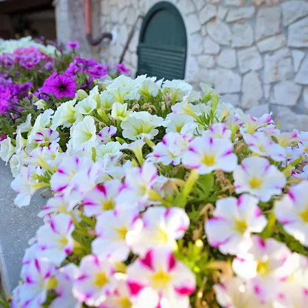 Villa Asia Selva Di Fasano